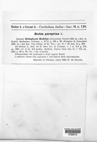 Image Associated With the Occurence